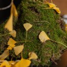 Fotogalerie PlayStation Party