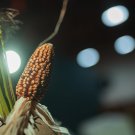 Fotogalerie PlayStation Party