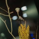 Fotogalerie PlayStation Party